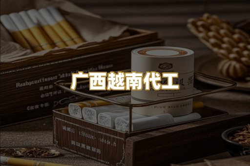 广西越南代工